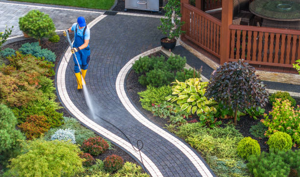 Best Residential Pressure Washing Services  in Hamilton, MT